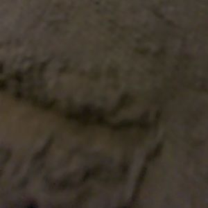 Black short sleeve light sweater